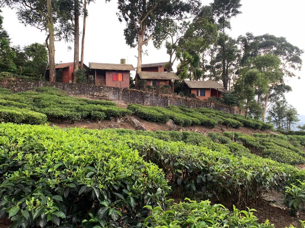 Holacasa Cottages Munnar Luaran gambar