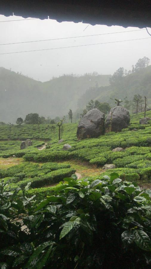 Holacasa Cottages Munnar Luaran gambar
