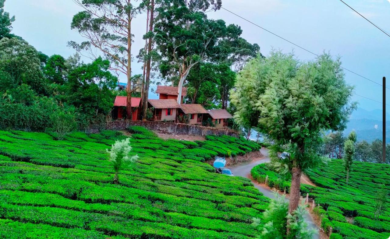 Holacasa Cottages Munnar Luaran gambar