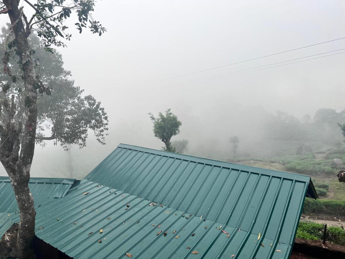 Holacasa Cottages Munnar Luaran gambar