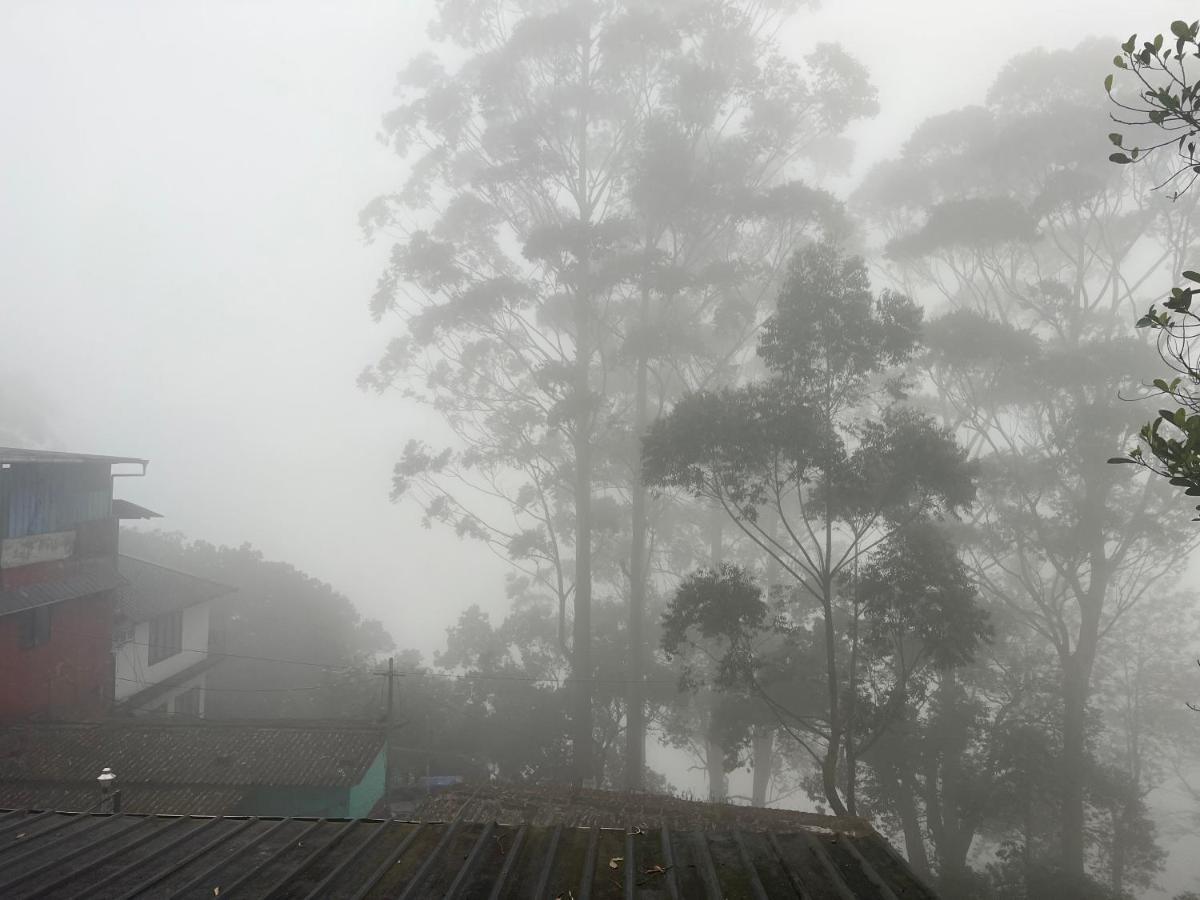Holacasa Cottages Munnar Luaran gambar